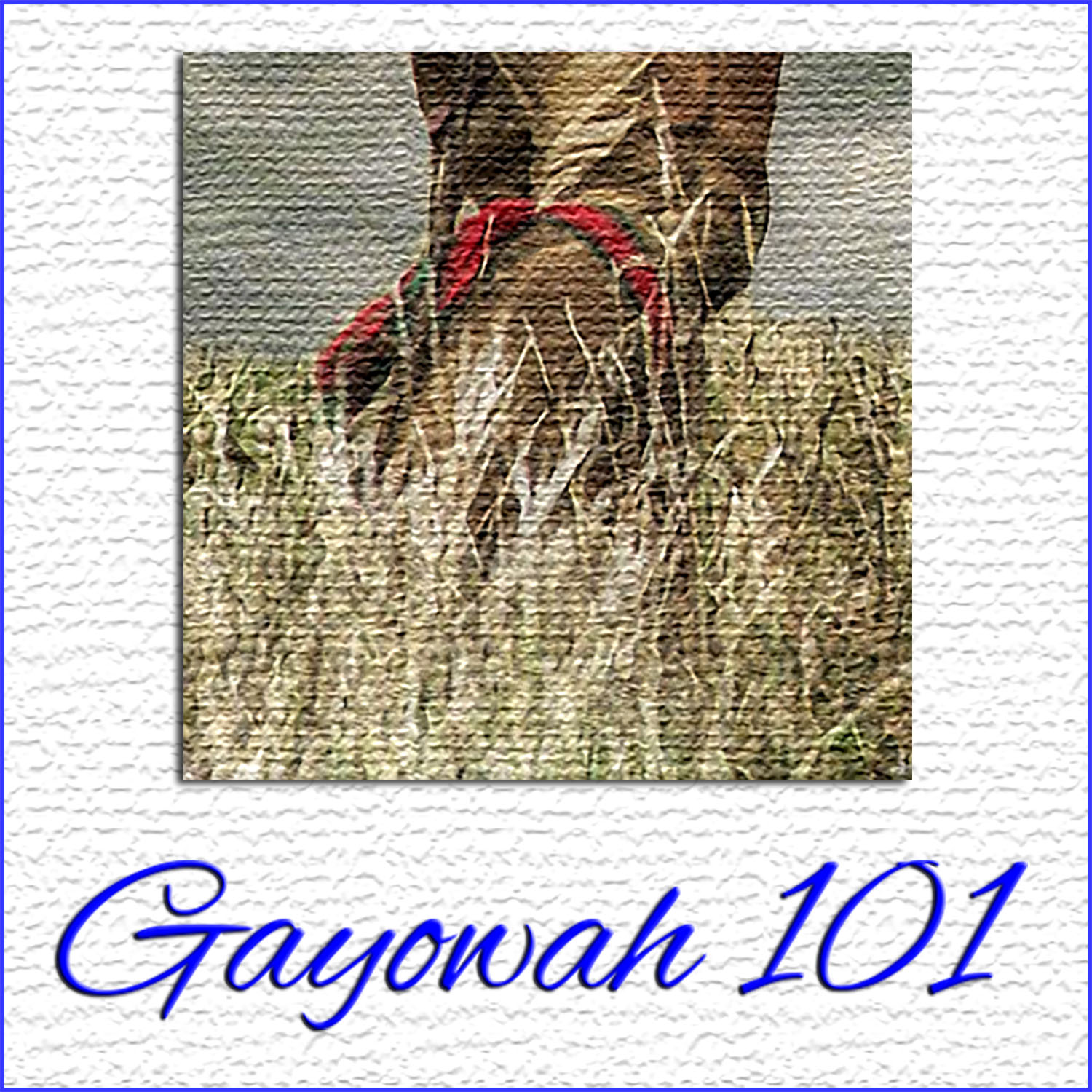 Gayowah 101 - Show #05 (All Iroquois Social Dance)